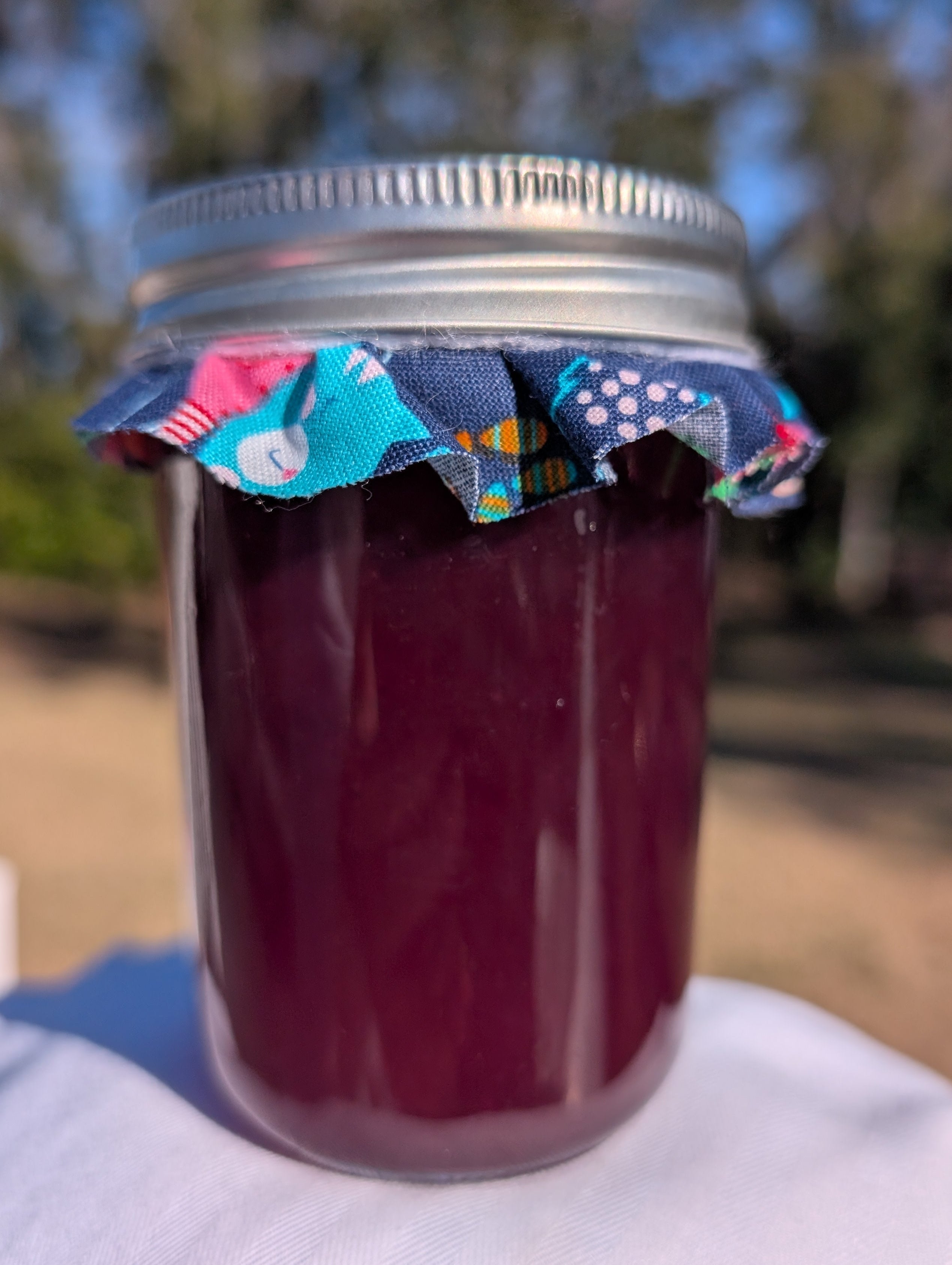 Roselle Hibiscus Jelly
