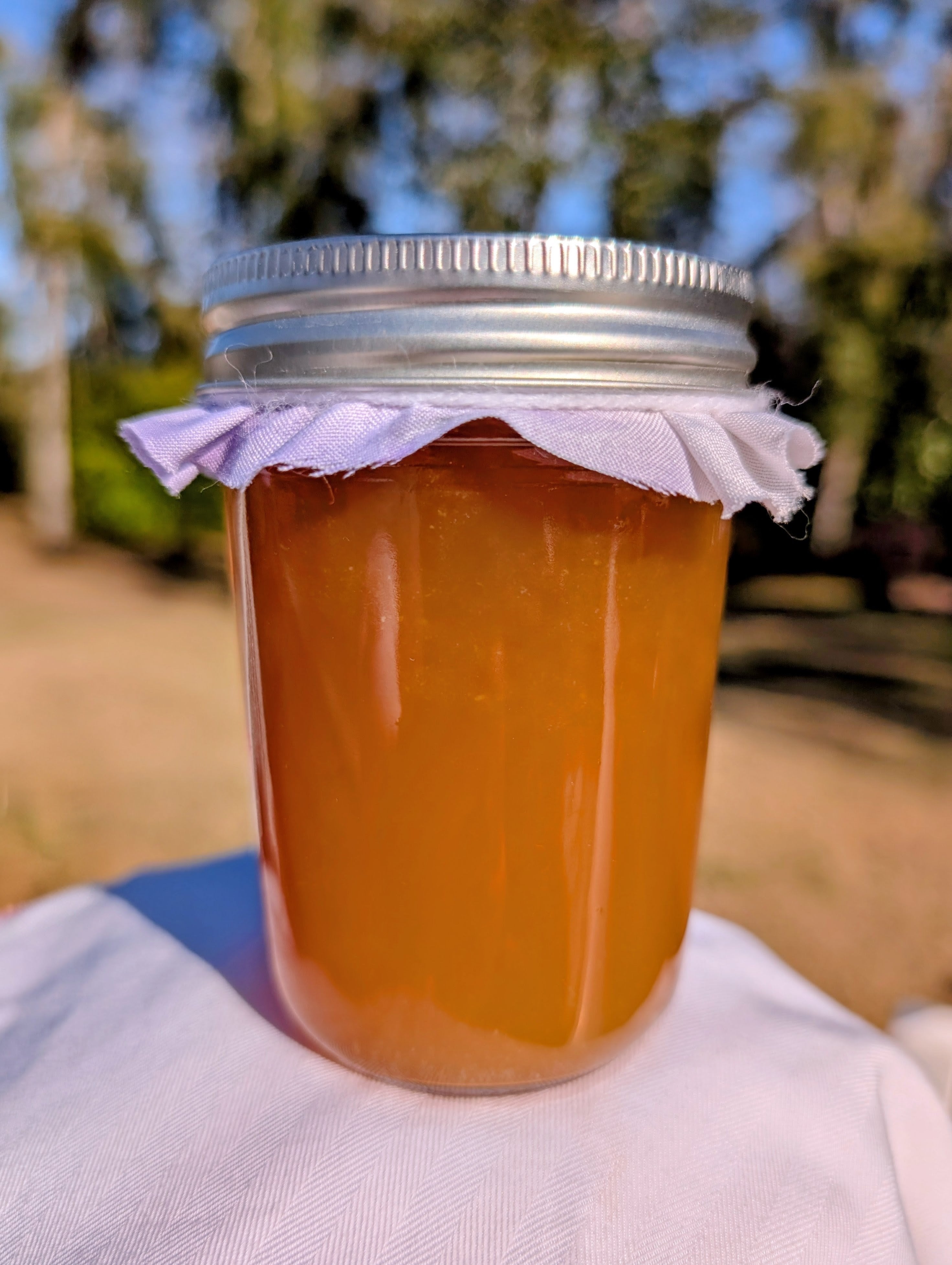 Tropical Dream Jelly