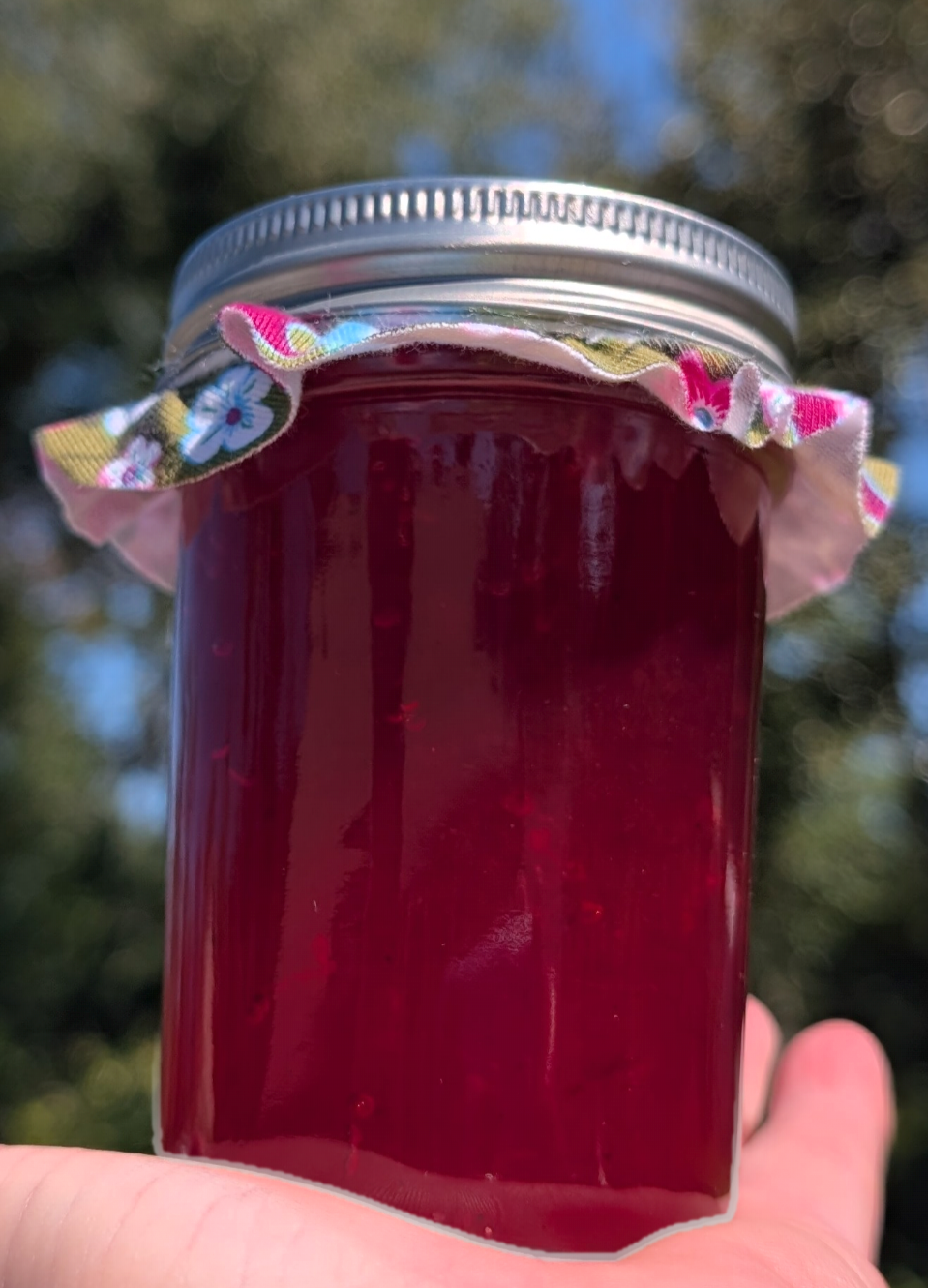 Sugar-Free Roselle Hibiscus Jelly