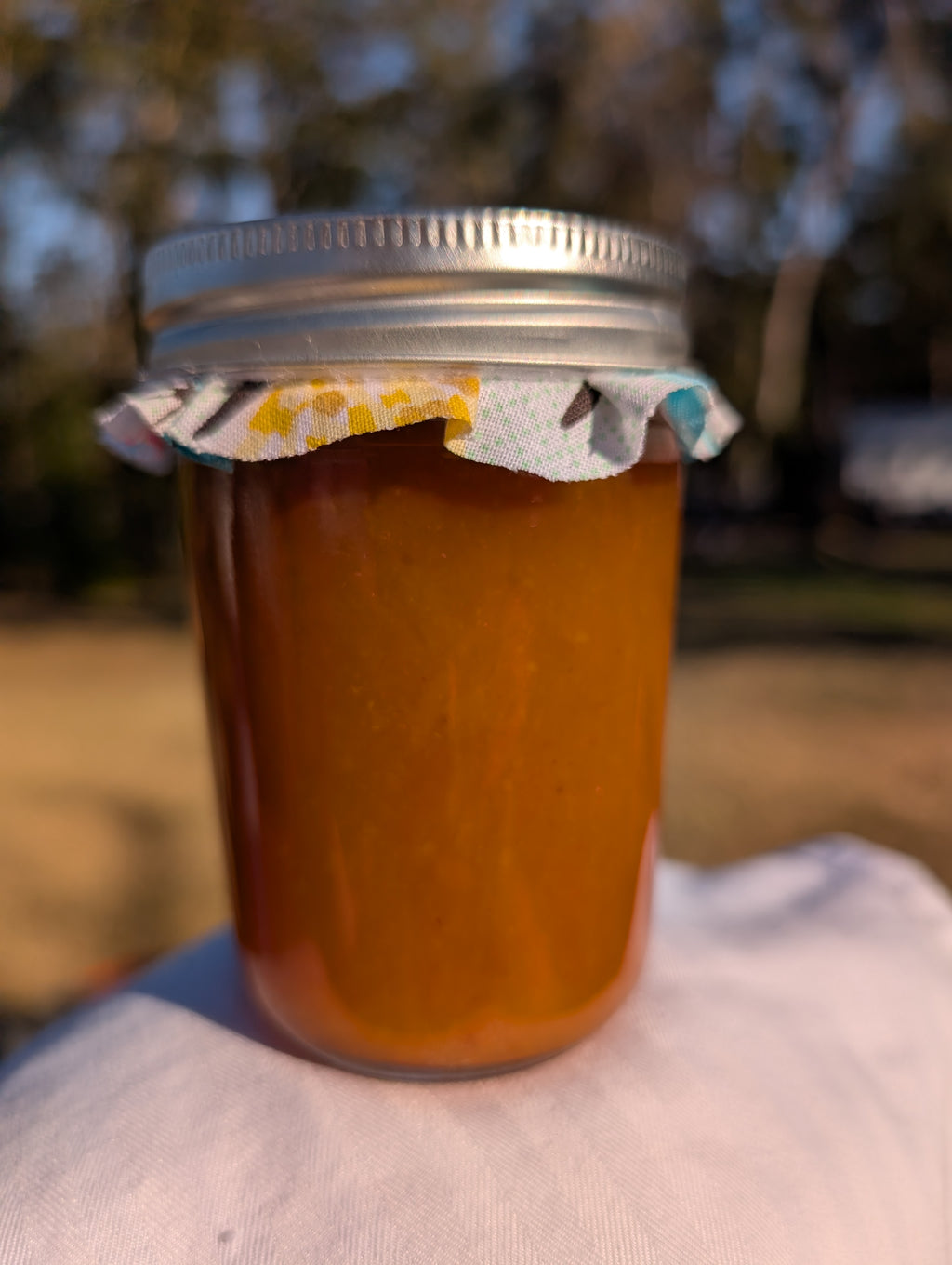 Tropical Dream Jelly