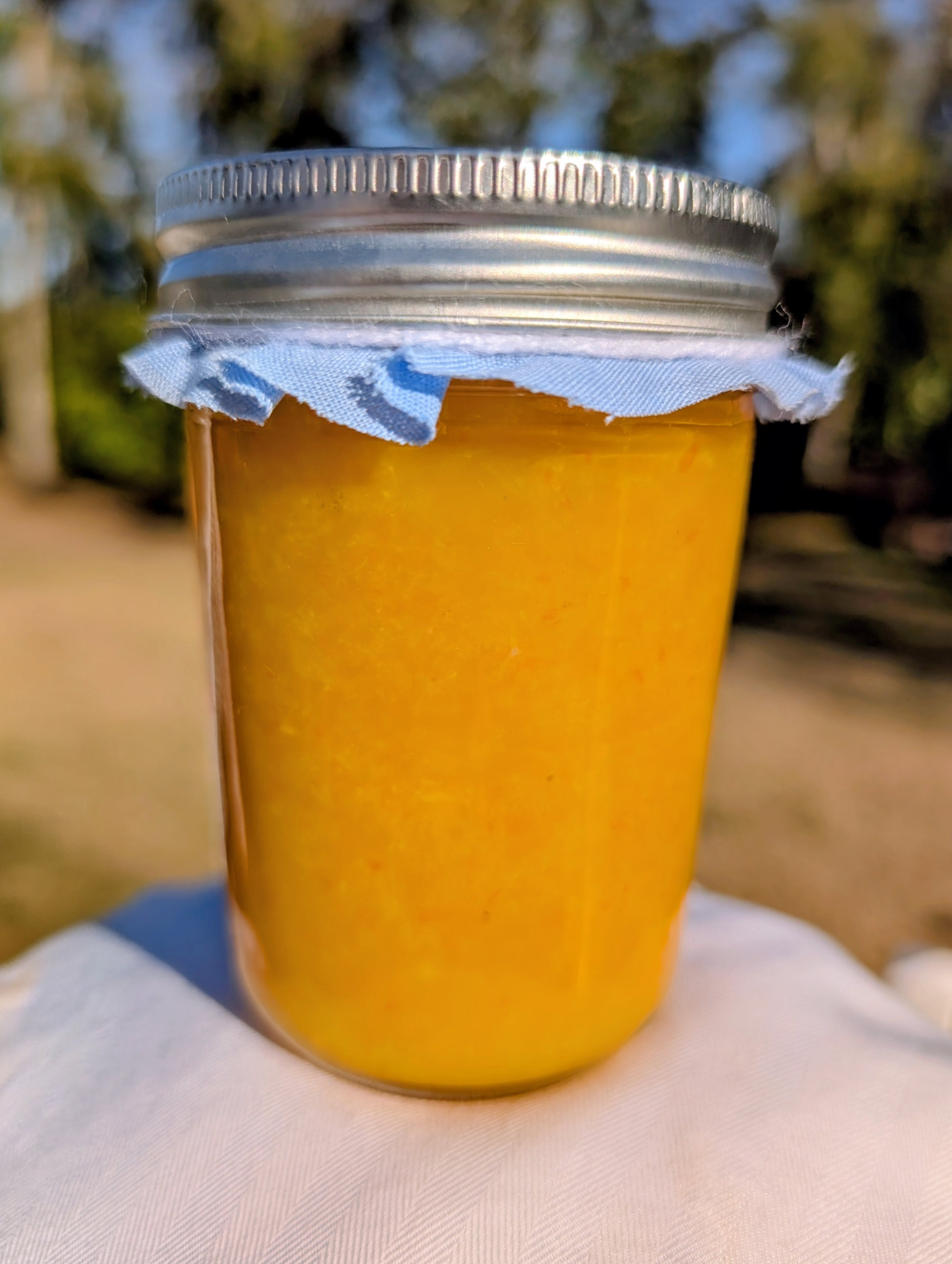Sugar-Free Orange Jelly