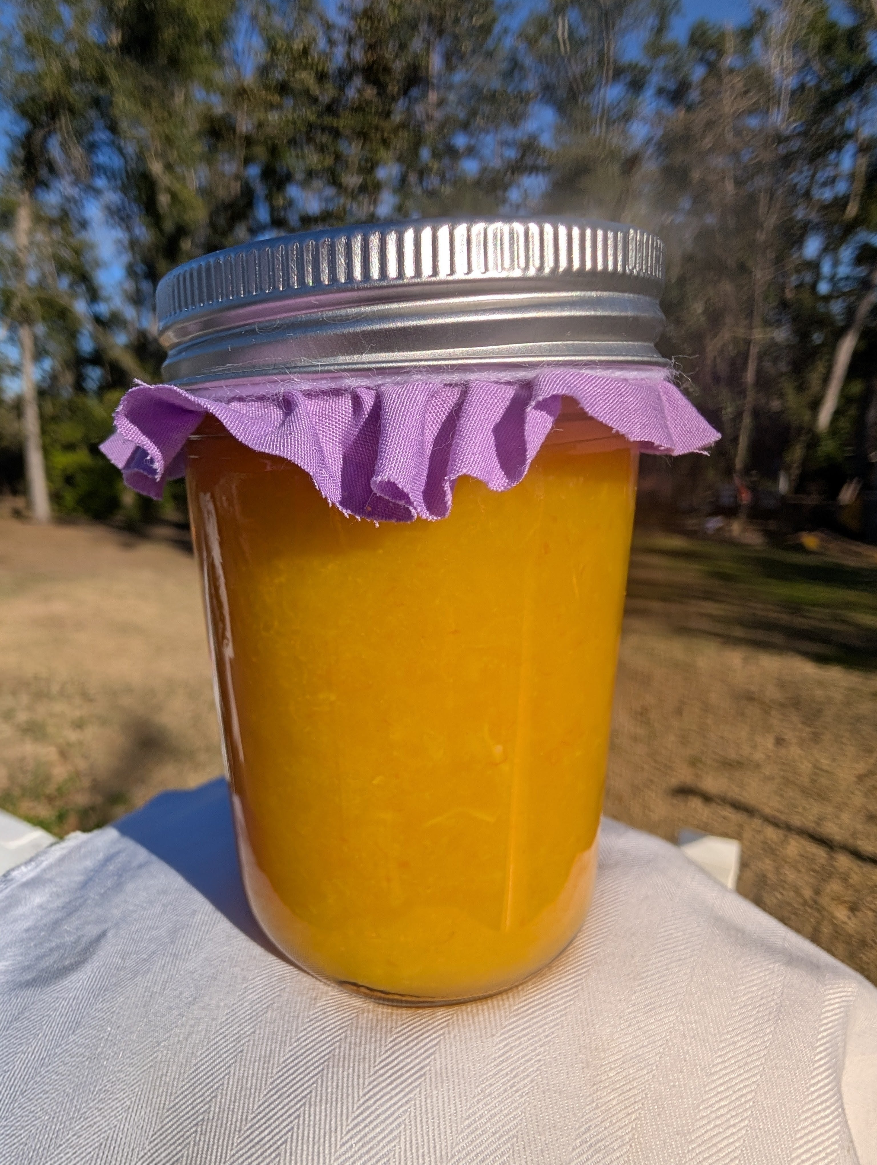 Orange Jelly