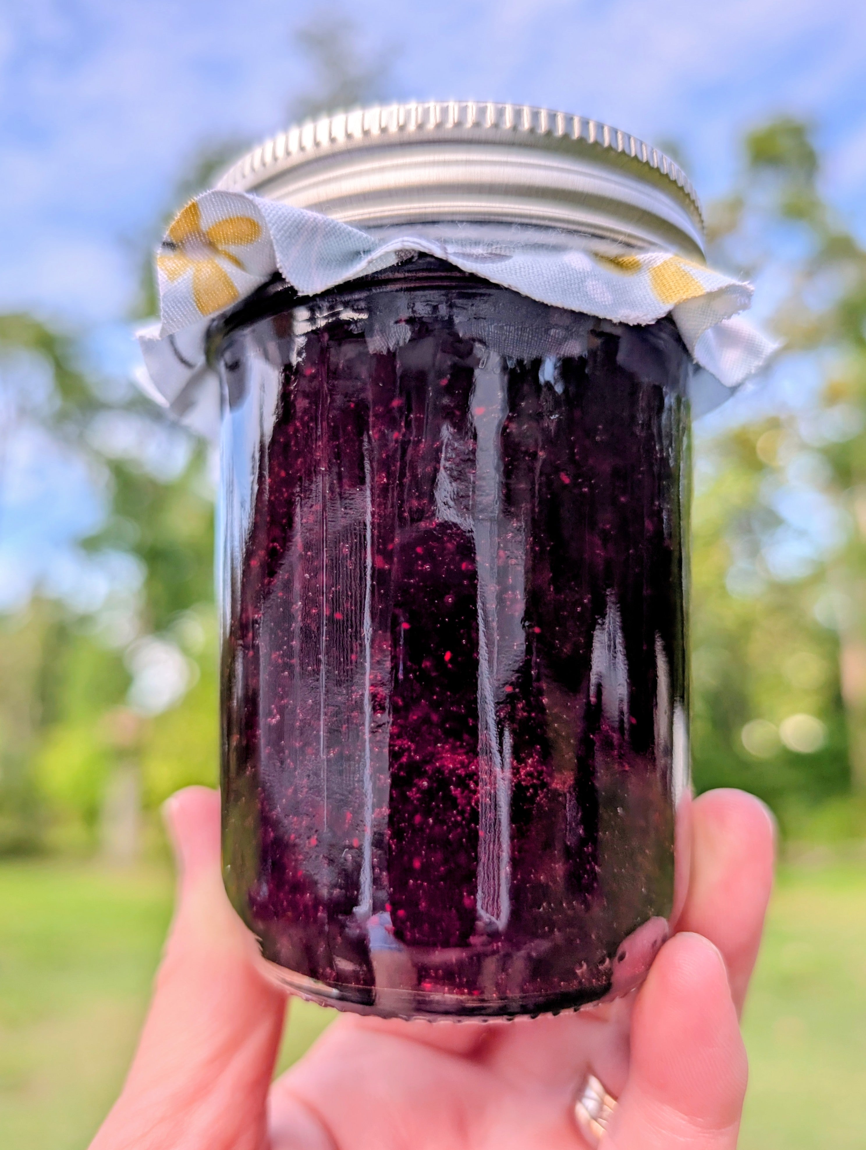 Blueberry Jam